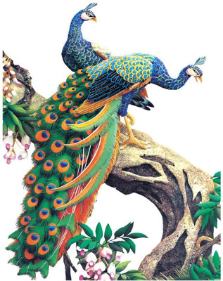 VCREATE DECOR 58 cm Peacocks Wall Sticker Self Adhesive Sticker(Pack of 1)