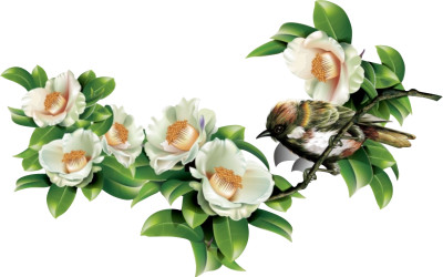 Ajay craft 70 cm flower branch on birds design sticker Self Adhesive Sticker(Pack of 1)