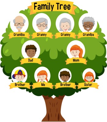 Decor Kafe 60.96 cm Diagram showing three generation family tree Self Adhesive Sticker(Pack of 1)