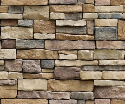 JAAMSO ROYALS 120 cm Nature Design Wall Paper Sticker Removable Sticker(Pack of 1)