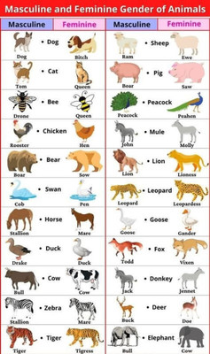swaroopa 16.5 inch Kids Educational and Cartoon Stickers A3 size non tearable sticker sheet Self Adhesive Sticker(Pack of 1)
