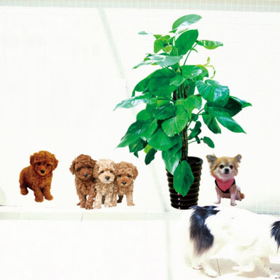 SmartWindow 50 cm Plant Pot Ball Flower Basket Fence Dog Tree Home Wall Sticker (50CM x 70CM) Self Adhesive Sticker(Pack of 1)