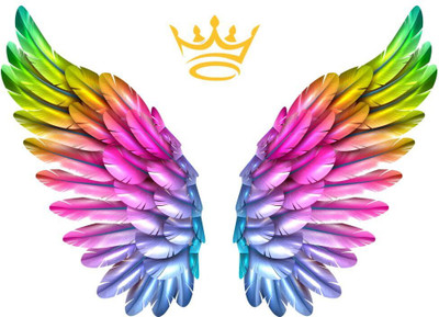 AH Decals 60 cm 3D Colorful Wings Animated Wall Sticker 3D Background Removable Sticker Self Adhesive Sticker(Pack of 1)