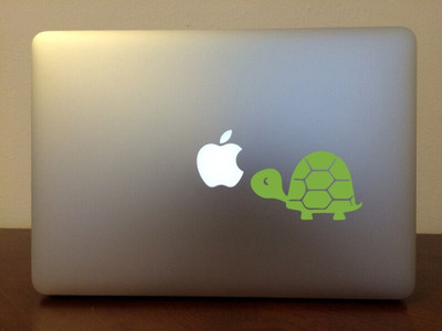 Xskin 30 cm Turtle Self Adhesive Sticker(Pack of 1)