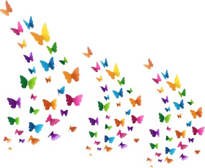 JAAMSO ROYALS 60 cm Multicolor 3D Butterfly Wall Sticker Removable Sticker(Pack of 3)