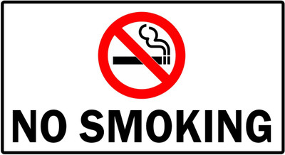 Printlive 8 inch NO SMOKING DECAL STICKER Self Adhesive Sticker(Pack of 1)