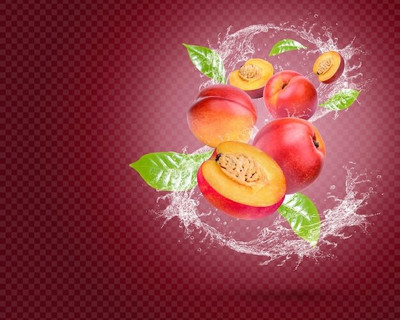 zocket 45 cm WALL STICKER LATESTS 453 Self Adhesive Sticker(Pack of 1)
