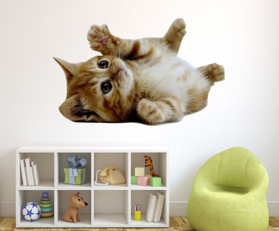 Remer 45 cm Beautiful original cat wallsticker Self Adhesive Sticker(Pack of 1)