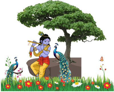 StickerYard 61 cm Krishna ji Playing Flute Peacock Wall Sticker Self Adhesive Sticker(Pack of 1)