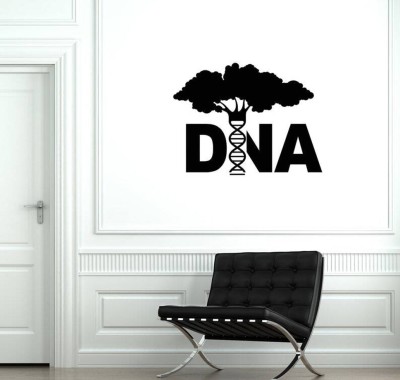 SnappyVinyl 27 cm DNA Wall Sticker PVC Vinyl Self Adhesive Sticker(Pack of 1)