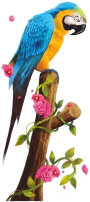 Jagvii 90 cm Fantastic Parrot Large Wall Sticker Self Adhesive Sticker(Pack of 1)