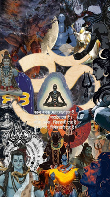 ZEN TREK 45 cm PL 222 Self Adhesive Sticker(Pack of 1)