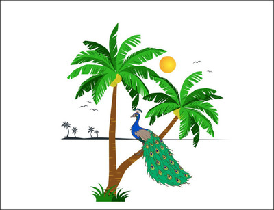 Vijaya enterprises 63 cm Cute Beautiful Peacock on Coconut Tree|Bird More Wall Sticker Size (60X63cm) Self Adhesive Sticker(Pack of 1)