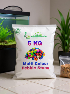 AFAST Colourful Glossy Pebbles Stones | Decorative Garden Aquarium Painted Asymmetrical Rock Pebbles(Multicolor 5 kg)