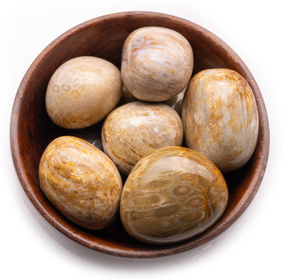 Plus Value fossil-coral-tumbled-wooden-bowl Regular Round Crystal Pebbles(Multicolor 300 g)