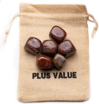 Plus Value petrified-wood-tumbled-50gm-jb Regular Asymmetrical Crystal Pebbles(Multicolor 50 g)