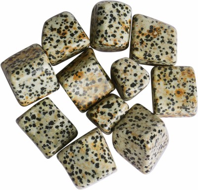 9dzine Dalmatian Jasper Tumble Stone 50 Gm,Dalmatian Jasper Crystal Gemstone for Vastu Polished Asymmetrical Crystal Stone(Multicolor 50 g)