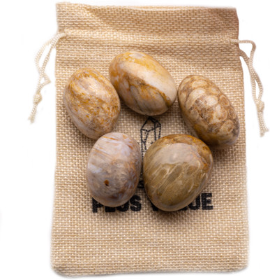 Plus Value Coral Tumble Pebbles Stone 100grams in Jute Bag Regular Asymmetrical Crystal, Quartz Pebbles(Multicolor 100 g)