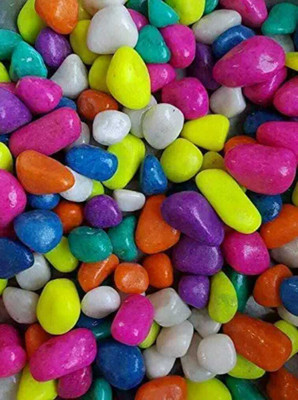 Bhaktinayak multi colour stone pebbles 1kg Polished Asymmetrical Rock Stone(Multicolor 1 kg)
