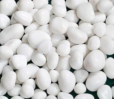 HH ENTERPRISES 1Kg Natural Polished Pebble Stone (White) For Terrarium, Succulents, Garden Pots Polished, Carved, Regular Round Quartz Pebbles(White 1 kg)