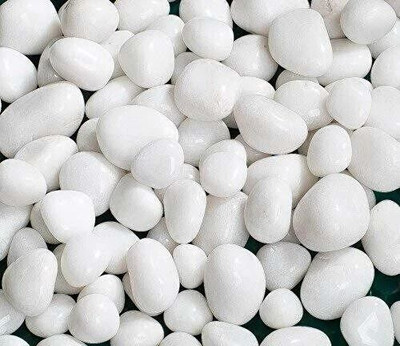 HH ENTERPRISES Regular Asymmetrical Rock Pebbles (Multicolor 5 kg) Polished Round Marble Pebbles(White 5 kg)