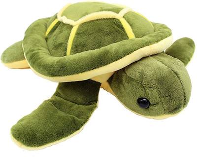 dk enterprises Turtle soft toy  - 32 cm(toroise soft toy, Green)