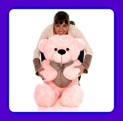 Abhinav toys Z_Best Ever Stuffed Toys 419  - 79 cm(Pink)