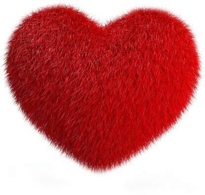 CRAZY TRADER HEART PILLOW/ CUSHION RED 30CM  - 30 cm(Red)
