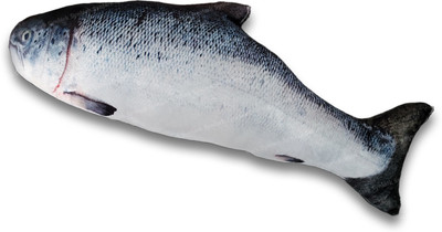 Synlark Fish Microfibre Animals Baby Pillow Pack of 1(Grey)