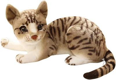 PLUSHJOY Cat Soft Toy for Kids Birthday Gifts Random color ( Pack of 1)  - 32 cm(Brown)