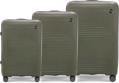 CITIZEN CITY TRAVELLER GREEN SET OF 3 Cabin & Check-in Set 4 Wheels - 30 inch