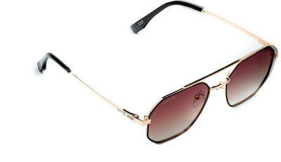 Eyeric Aviator Sunglasses(For Men, Brown)