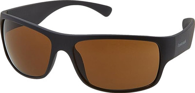 Fastrack Rectangular Sunglasses(For Men & Women, Brown)