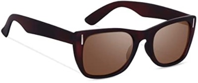 CREATURE Wayfarer Sunglasses(For Men & Women, Brown)