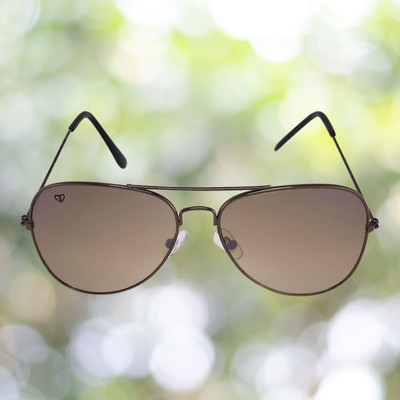 Walrus Aviator Sunglasses(For Men & Women, Brown)