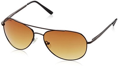 Fastrack Aviator Sunglasses(For Men, Brown)