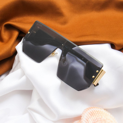 Ted Smith Shield Sunglasses(For Men & Women, Black)