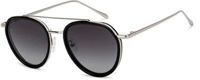 VINCENT CHASE by Lenskart Aviator Sunglasses(For Men & Women, Grey, Silver)