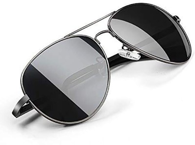 hayden haiza Aviator Sunglasses(For Men & Women, Black)