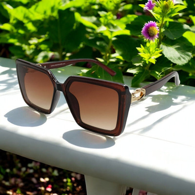 Urban Lens Rectangular Sunglasses(For Men & Women, Brown)