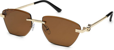 Hashtag eyewear Retro Square Sunglasses(For Men, Brown)