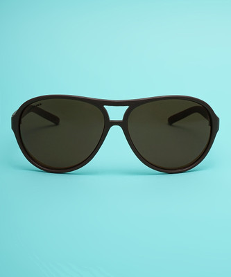 Fastrack Aviator Sunglasses(For Men, Brown)