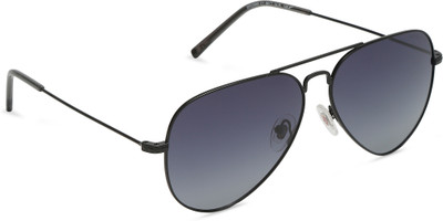 Sandpiper Aviator Sunglasses(For Men, Blue)