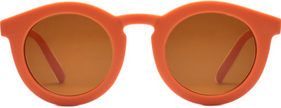 PETER JONES Round Sunglasses(For Men & Women, Brown)