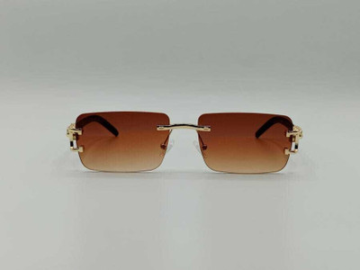 METRONAUT UV Protection Sunglass(For Men & Women, Brown)