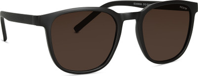Roadster Retro Square Sunglasses(For Men, Brown)