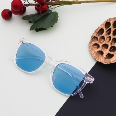 Ted Smith Wayfarer Sunglasses(For Men & Women, Blue)