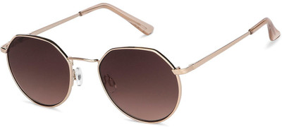 VINCENT CHASE by Lenskart Retro Square Sunglasses(For Men & Women, Brown)