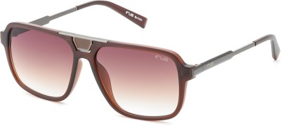 IRUS Retro Square Sunglasses(For Men, Brown)