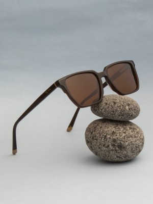 Ted Smith Retro Square Sunglasses(For Men & Women, Brown)